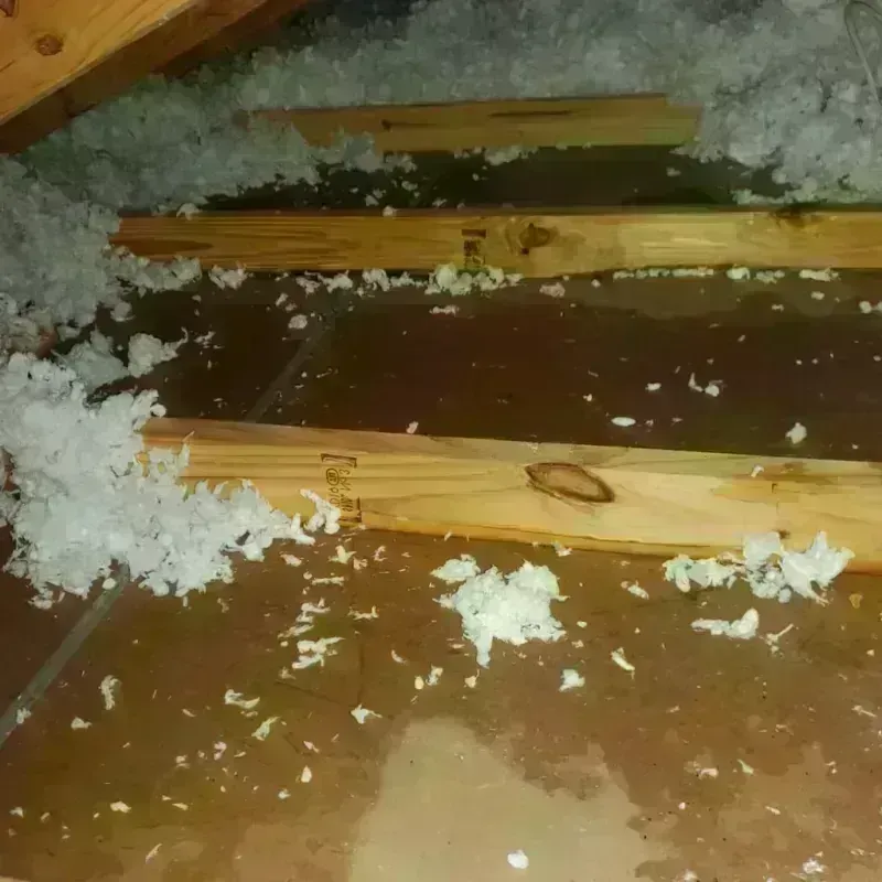 Attic Water Damage in Lucasville, OH