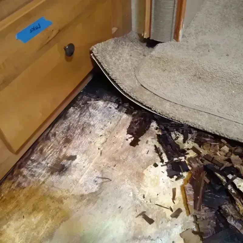 Best Wood Floor Water Damage Service in Lucasville, OH